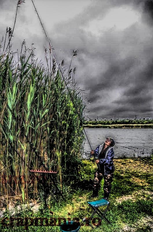 Cupa Seniorilor (2) -2013  - 1011217hdrmode2.JPG